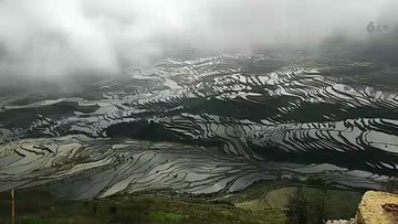 梯田