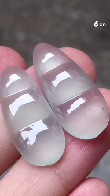 高冰福豆1对，种老起光2480