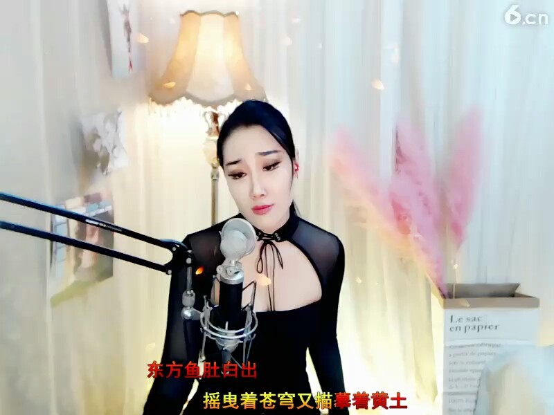沙漠骆驼1