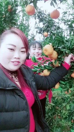 爱上负心的人
