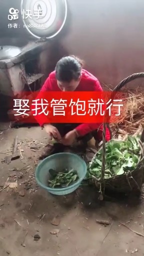 南山南