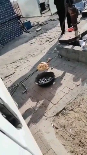 这🐔烤的怎样😂