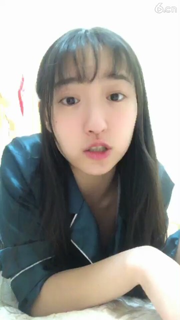 🐻🐷🐧🐔