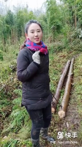 会不会