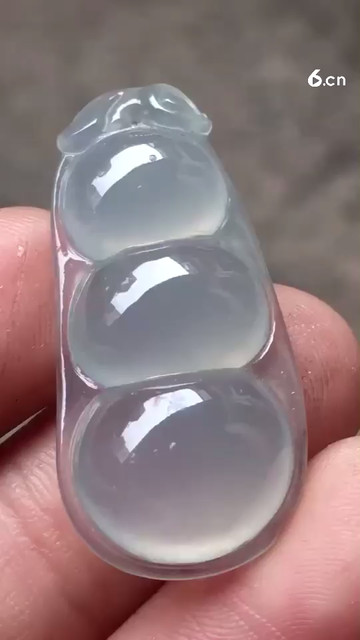 高冰福豆，种老起光2980