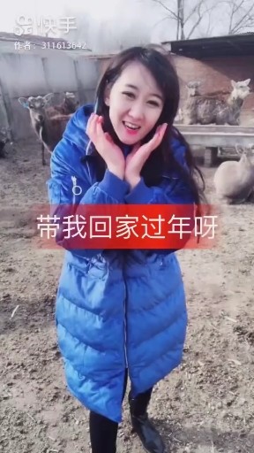 新年快乐