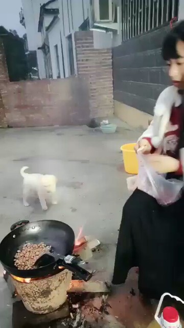 😂