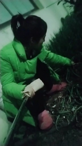 你的笑脸
