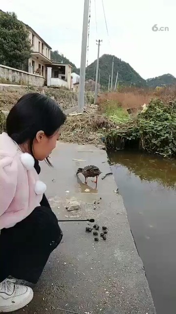 😂