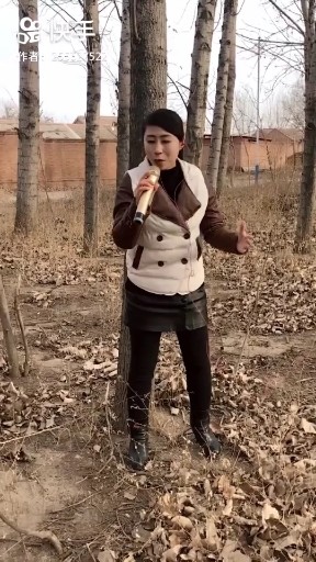 信天游