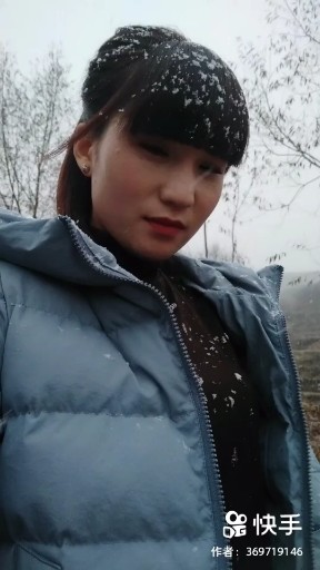 再见雪花飘下