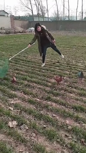 情火