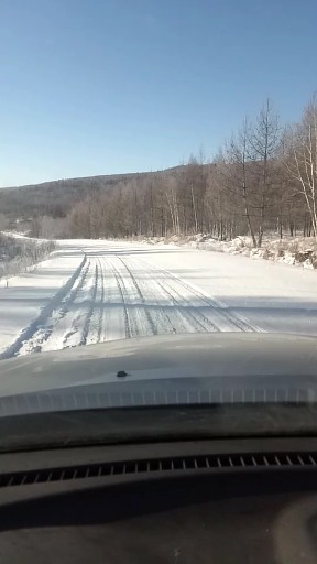 原始林区，白雪千里，林海接天！