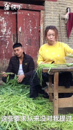 沙漠骆驼（改版）