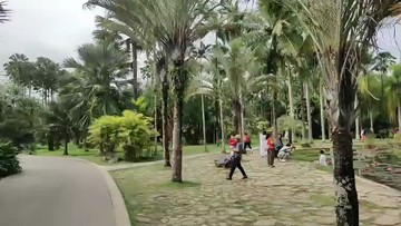 植物园