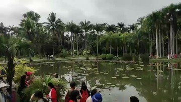 西双版纳热带植物园
