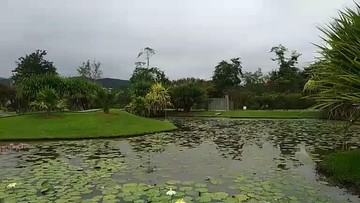 云南