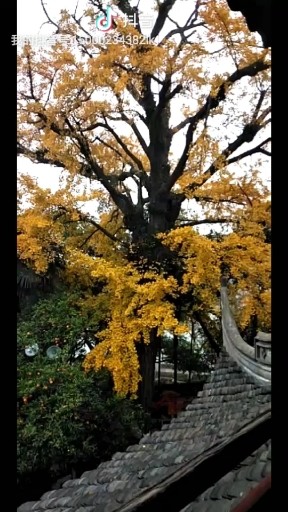 我一介草民怎么敢碰感情