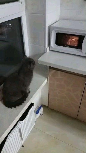 我想吃烤鸭 啥时候吃