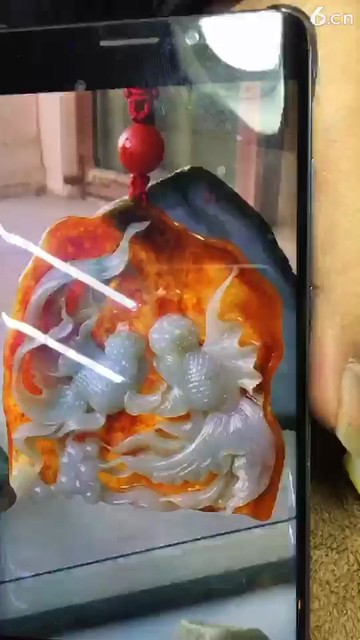 金鱼🐠戏水好漂亮啊