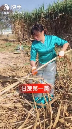 甘蔗第一美