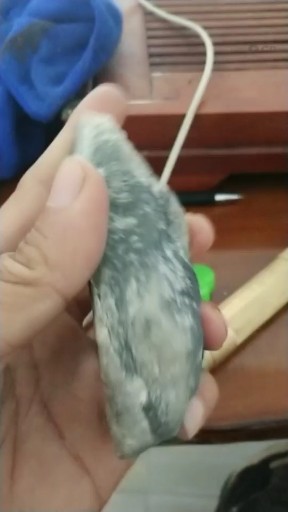 精品