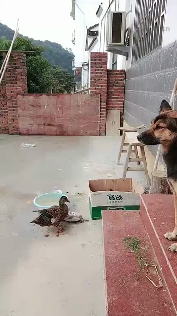 😂