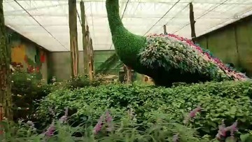 云南