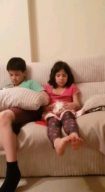 这首歌叫什么……白羊😓😓