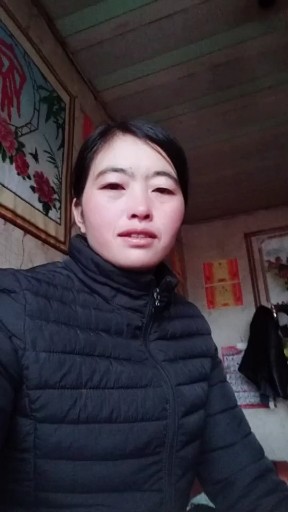 牛在飞
