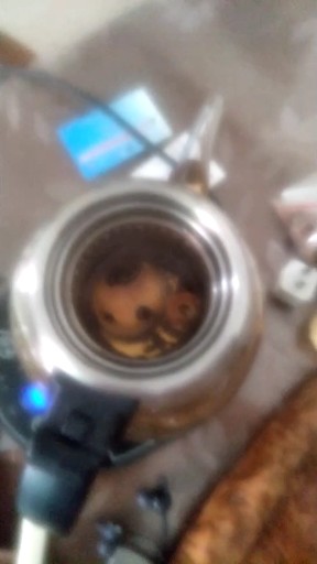 煮茶