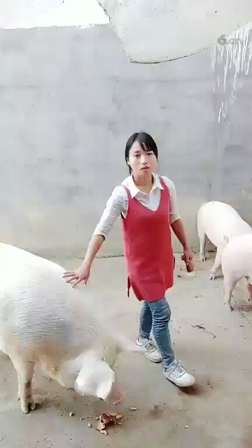八戒😃
