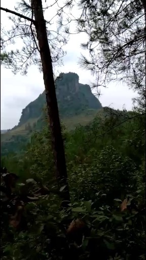 这风景杠杠的