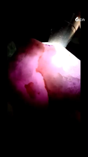 翡翠春彩