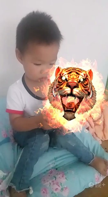 6666