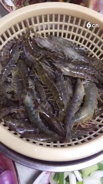 虾虾们 对不住了