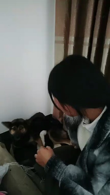 好乖😃