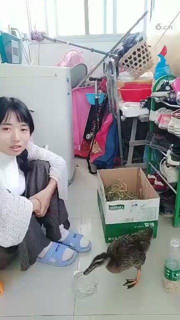 鸭子很享受😂