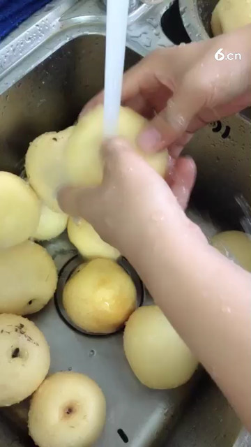 准备做雪梨膏