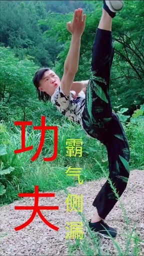 功夫霸气
