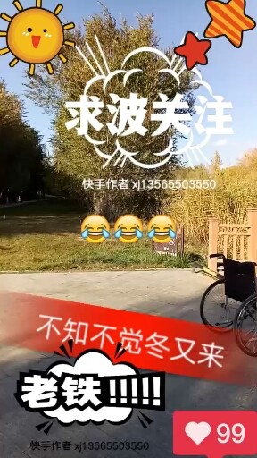 又是一年秋叶落，不知不觉冬来到