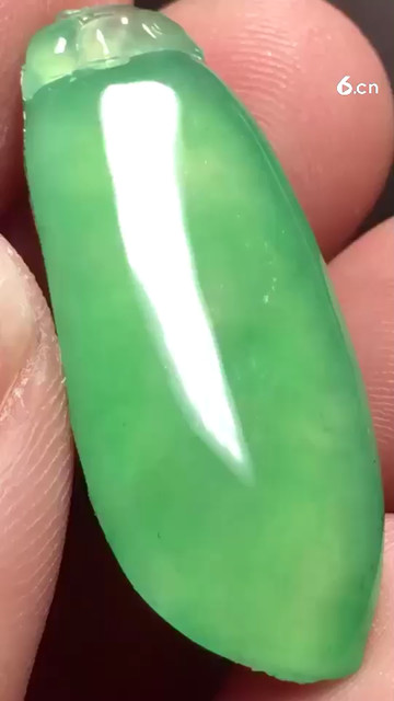 阳绿福瓜，种老7300
