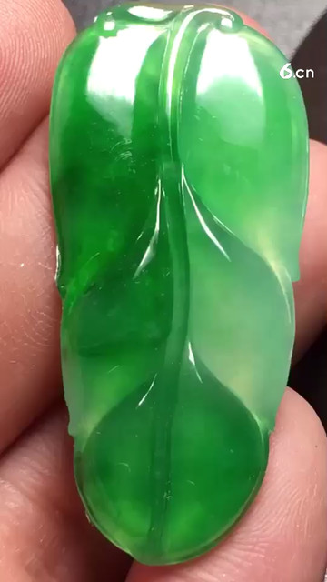 阳绿叶子，种老起8600