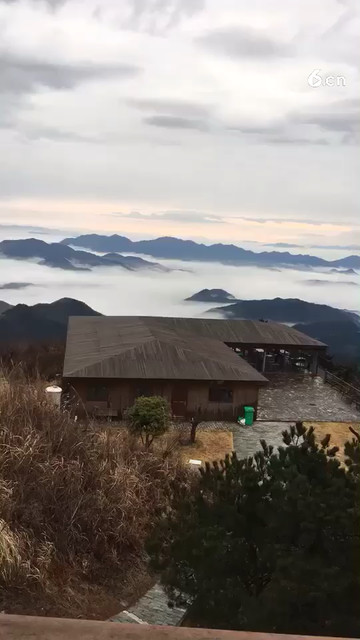 美