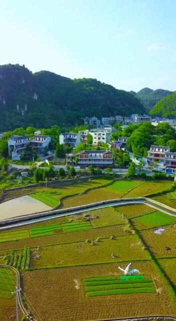 这么漂亮的农村你还想去城市吗