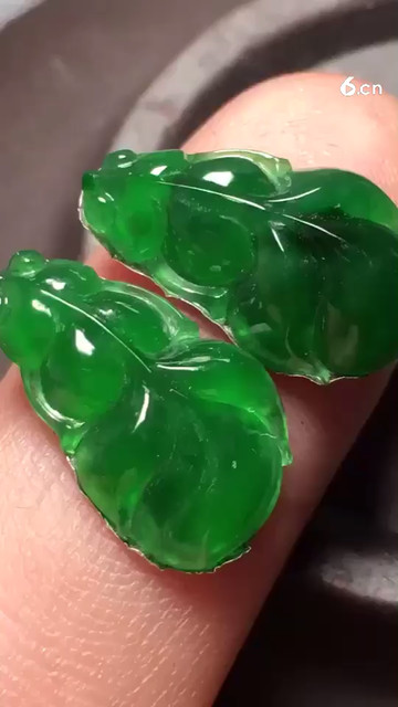 阳绿年年有余8800