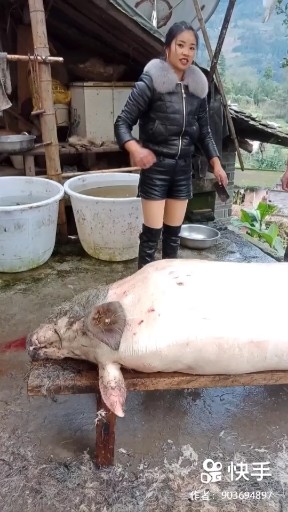 爱是海
