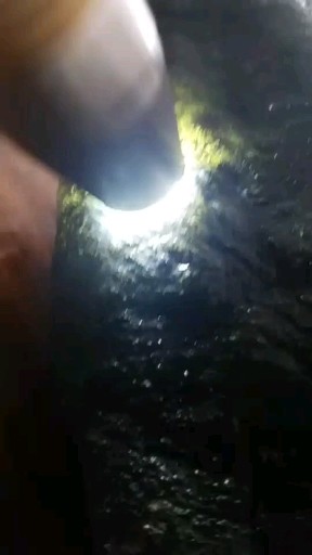 黑皮莫西沙手镯料