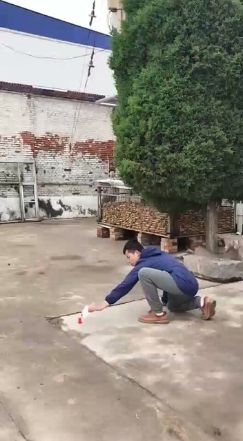 飞人