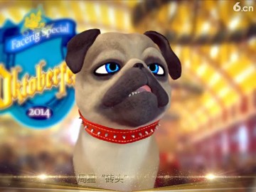 一表人才🐶